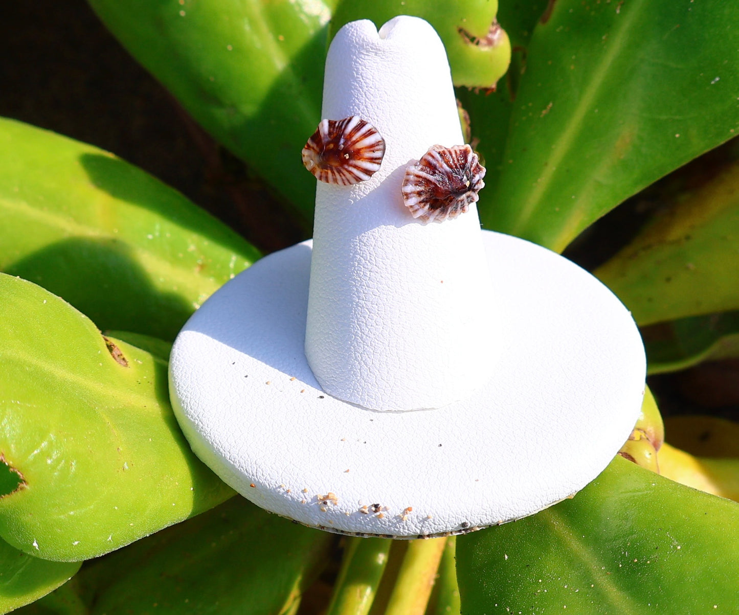 WHITE STRIPE 'OPIHI 'AWA RING