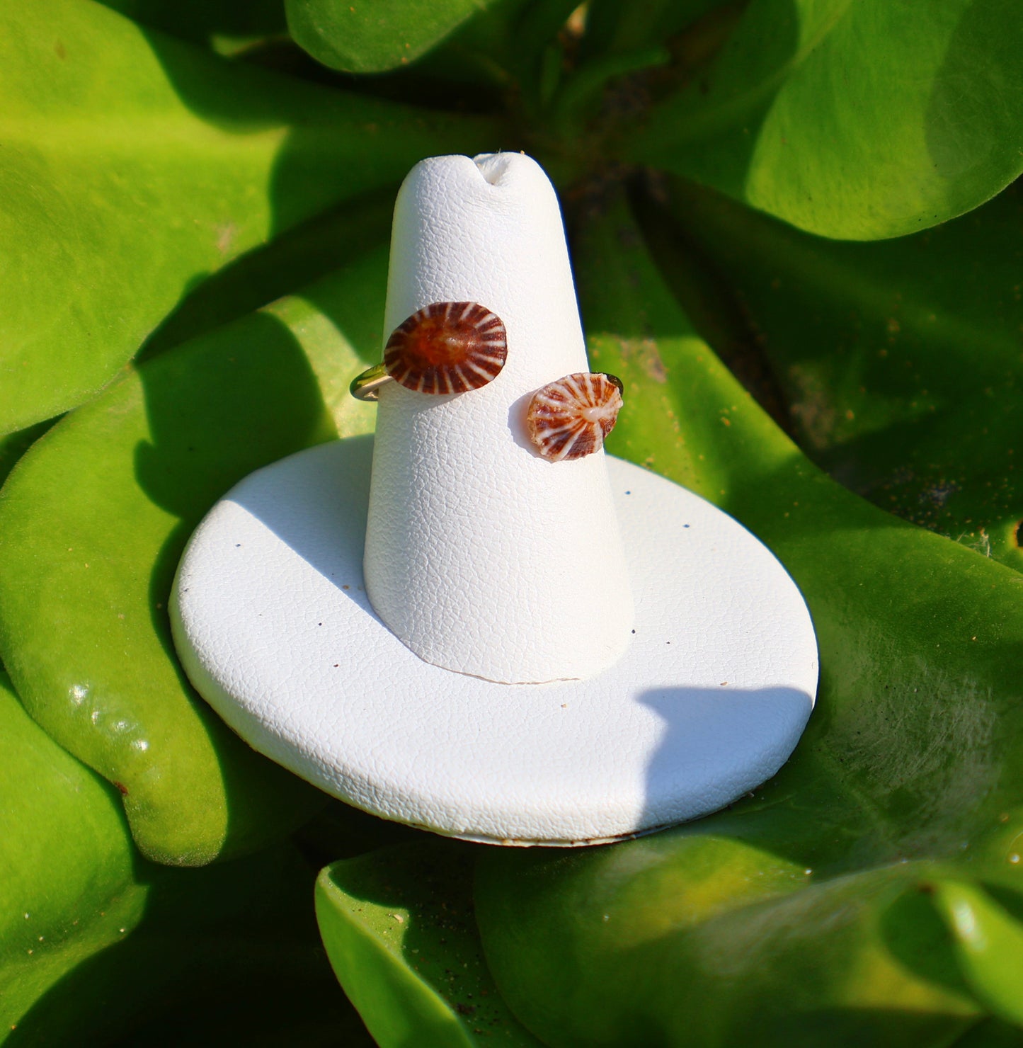 'OPIHI 'AWA RING