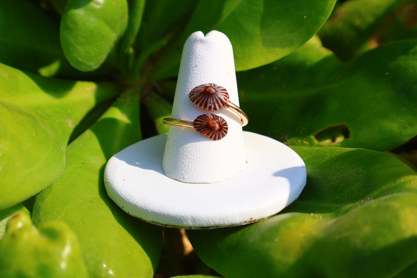 RED-WASH 'OPIHI 'AWA RING